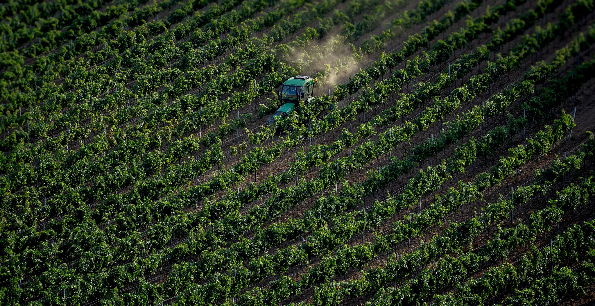 АранчИ История